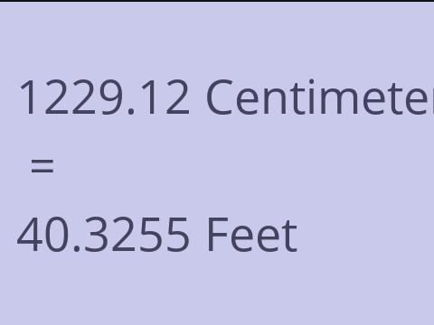 1229.12 CM TO FEET