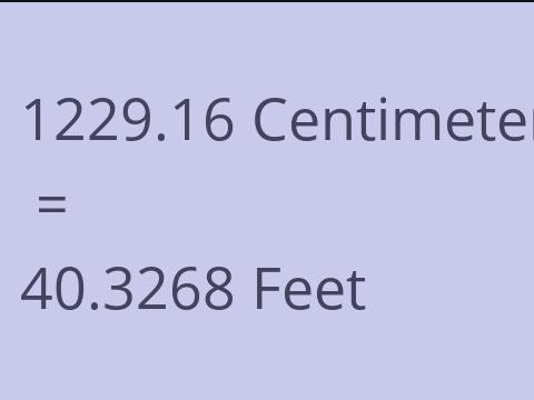 1229.16 CM TO FEET