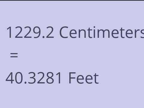 1229.2 CM TO FEET