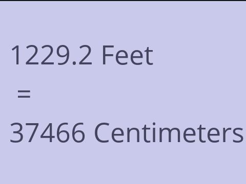 1229.2 FEET TO CM