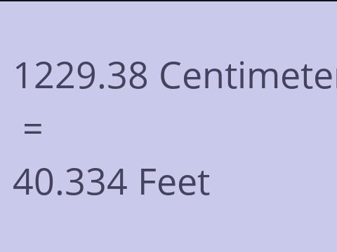 1229.38 CM TO FEET