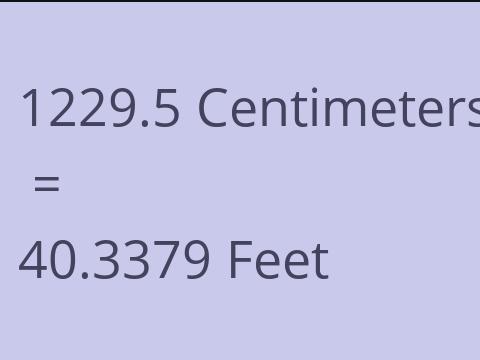 1229.5 CM TO FEET