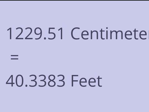 1229.51 CM TO FEET