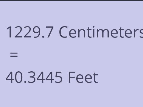 1229.7 CM TO FEET