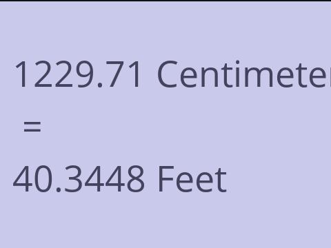 1229.71 CM TO FEET