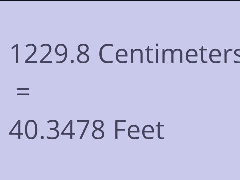 1229.8 CM TO FEET