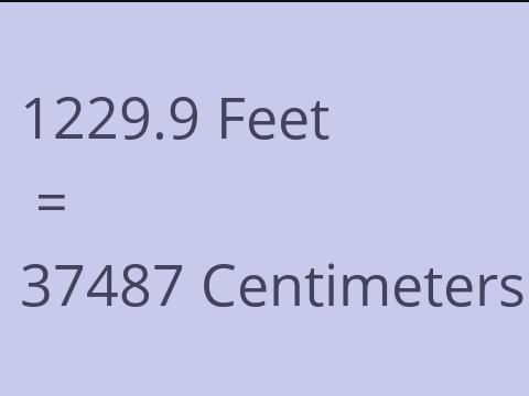 1229.9 FEET TO CM