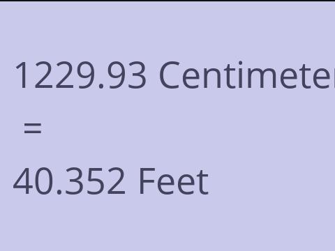 1229.93 CM TO FEET