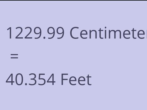 1229.99 CM TO FEET