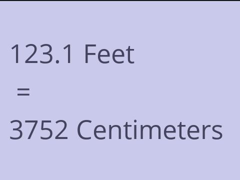 123.1 FEET TO CM