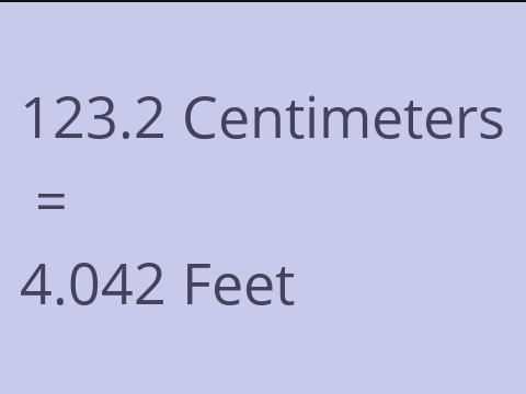 123.2 CM TO FEET