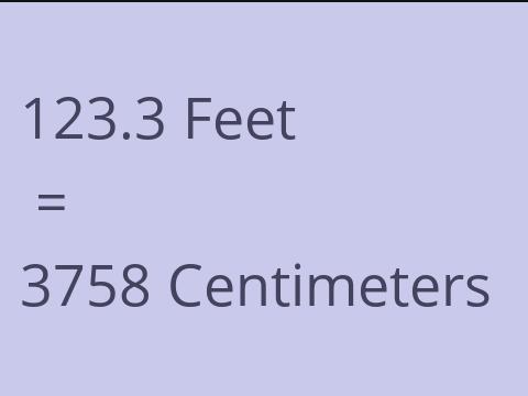 123.3 FEET TO CM