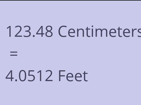 123.48 CM TO FEET