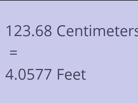 123.68 CM TO FEET