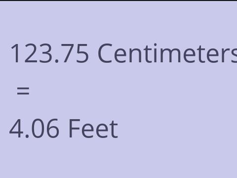 123.75 CM TO FEET