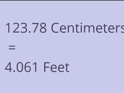 123.78 CM TO FEET