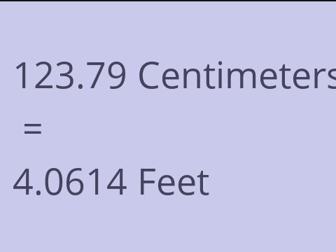 123.79 CM TO FEET