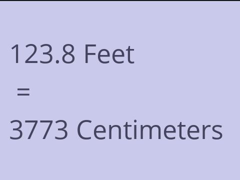 123.8 FEET TO CM