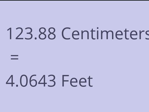 123.88 CM TO FEET