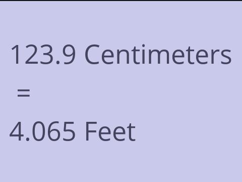 123.9 CM TO FEET