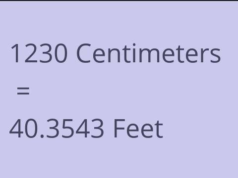 1230 CM TO FEET