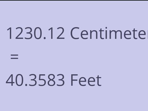 1230.12 CM TO FEET