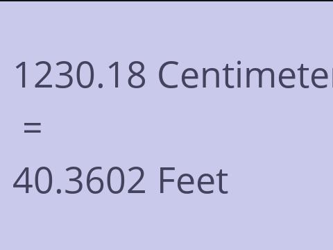 1230.18 CM TO FEET