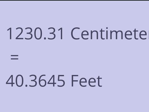 1230.31 CM TO FEET