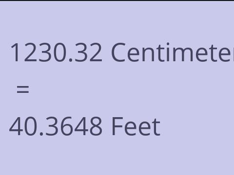 1230.32 CM TO FEET