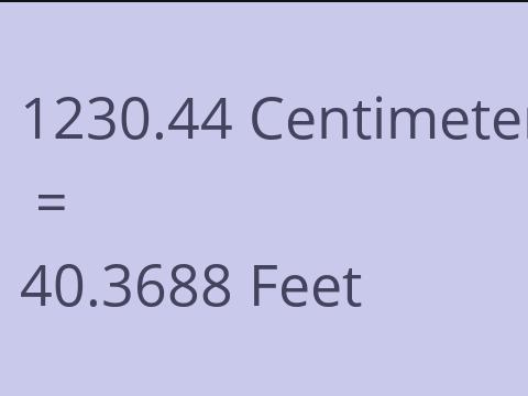 1230.44 CM TO FEET