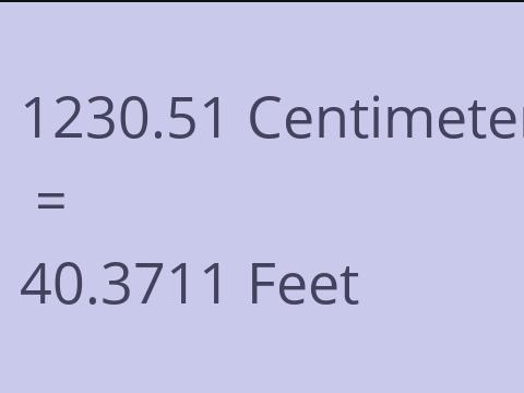 1230.51 CM TO FEET