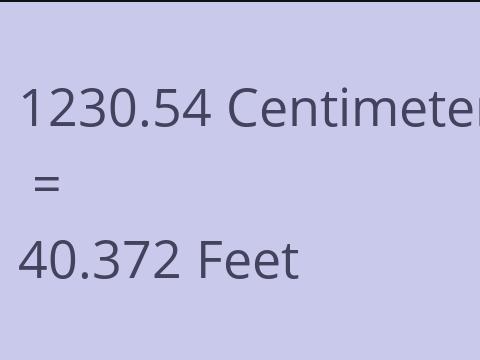 1230.54 CM TO FEET