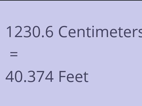 1230.6 CM TO FEET