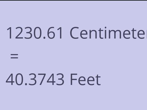 1230.61 CM TO FEET