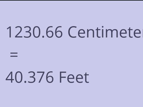 1230.66 CM TO FEET