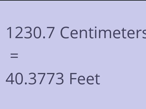 1230.7 CM TO FEET