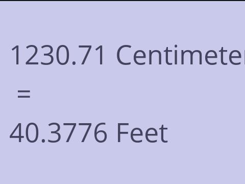 1230.71 CM TO FEET