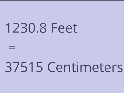 1230.8 FEET TO CM