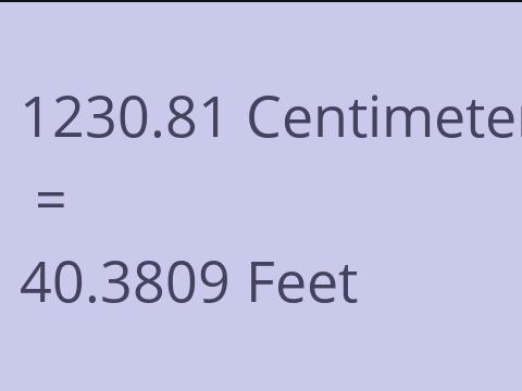 1230.81 CM TO FEET