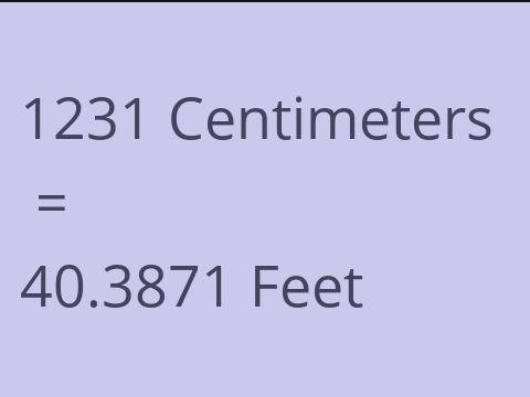 1231 CM TO FEET