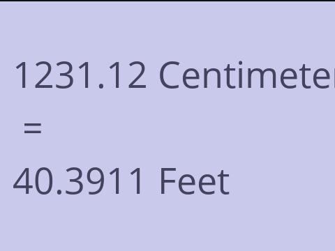 1231.12 CM TO FEET