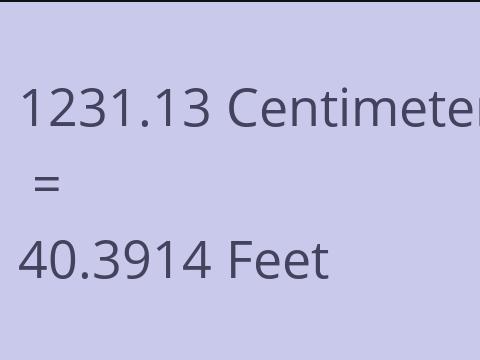 1231.13 CM TO FEET