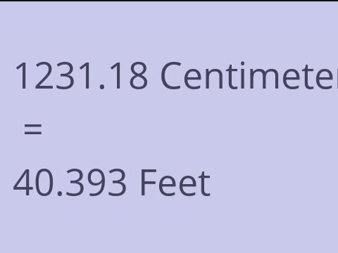 1231.18 CM TO FEET