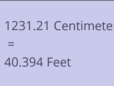 1231.21 CM TO FEET