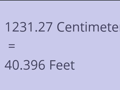 1231.27 CM TO FEET