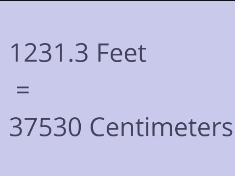 1231.3 FEET TO CM