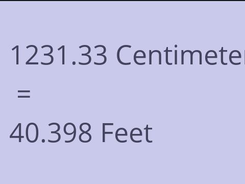 1231.33 CM TO FEET