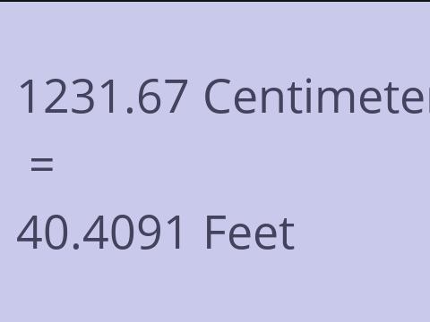 1231.67 CM TO FEET