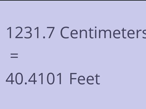 1231.7 CM TO FEET