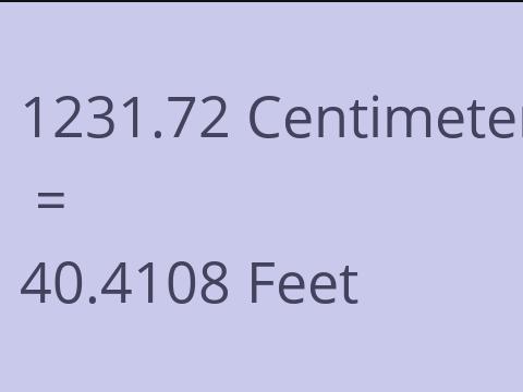 1231.72 CM TO FEET